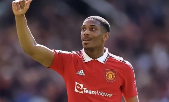 这些例子无 这些例子无