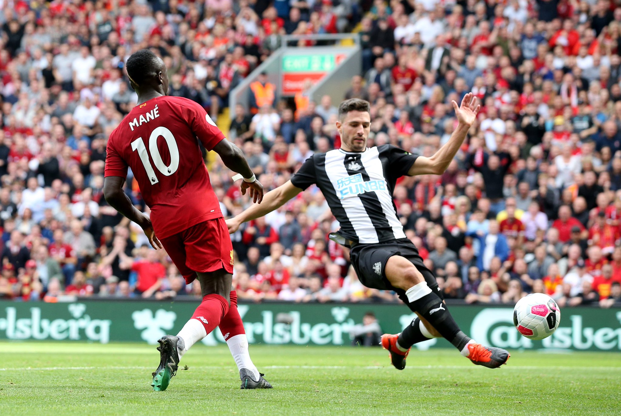 了鮮明的對 了鮮明的對